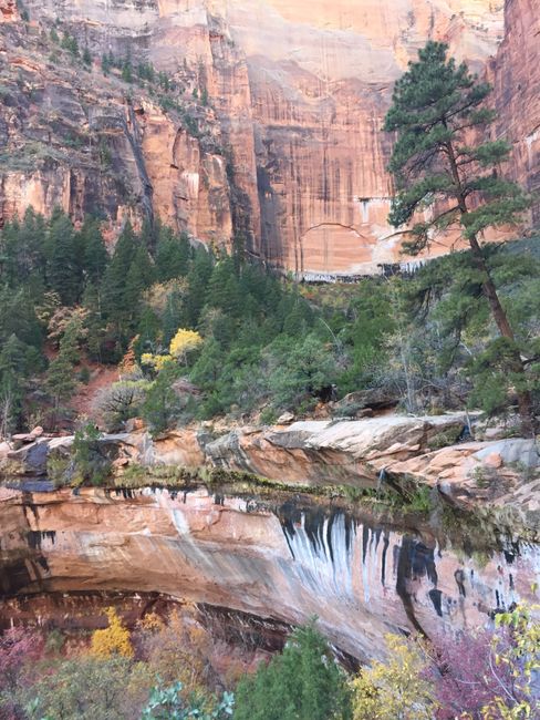 Lower & Upper Emerald Pools, Zion NP