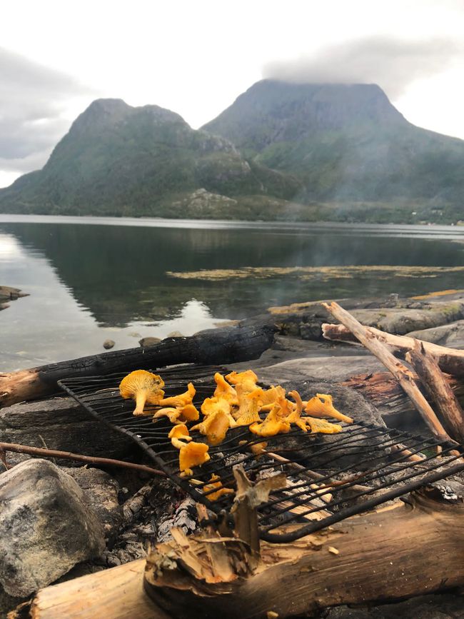 Chanterelles on grill