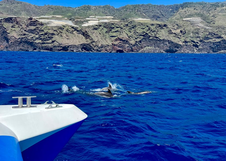 Boat tour and stargazing in La Palma