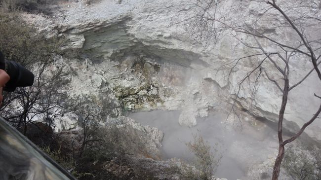 Tag 9 Wai-O-Tapu Thermal Wonderland