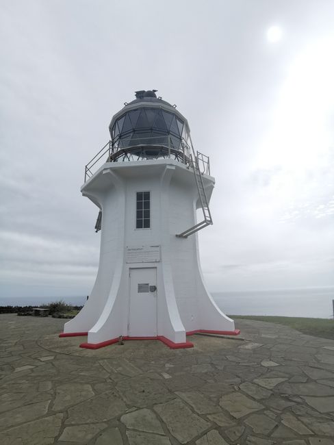Cape Reinga and the Great Sand Dunes