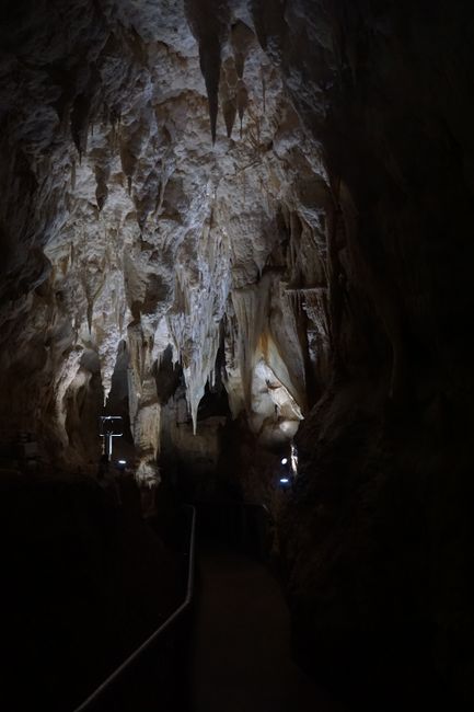 Stalaktiten in der Ruakuri Cave