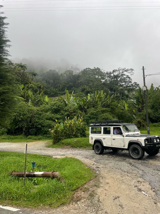 Unser Reise-Jeep zum Mossy Forest