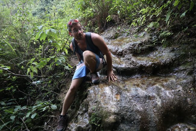 Head over heels into the jungle (Day 20 of the world trip)