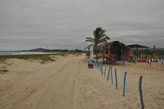Strandbar auf Isabela