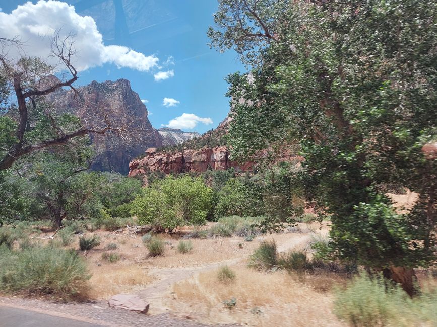 Day 12: Zion National Park
