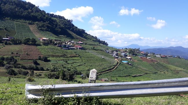 Vegetable plantations on the mountain