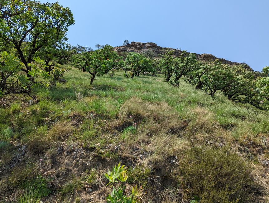 Hiked and Survived in Little Switzerland/Drakensberg