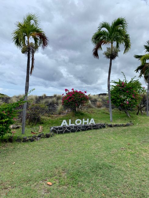 Hello Maui