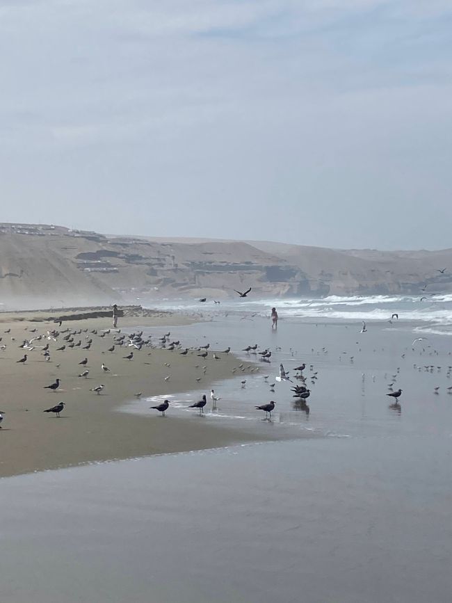 Kurzurlaub am Meer