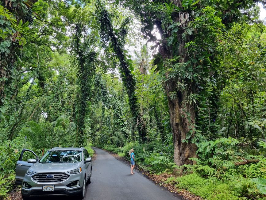 Hawaii 2022 - Teil 1: Big Island