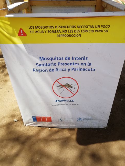 Pflanzen und Bewässerung sind am Friedhof zur Vermeidung von Malaria übertragenden Moskitos verboten. 