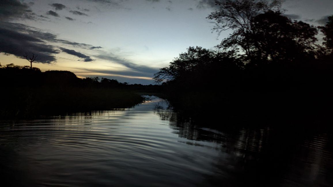 2. Día en la selva amazónica