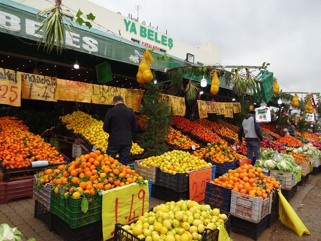 Farbenprächtiger Obst und Gemüsehändler in Kyrenia