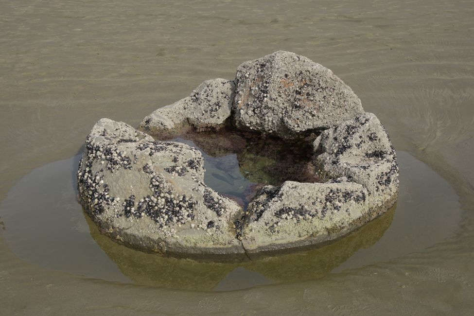 Moeraki - Our favorite boulder for years