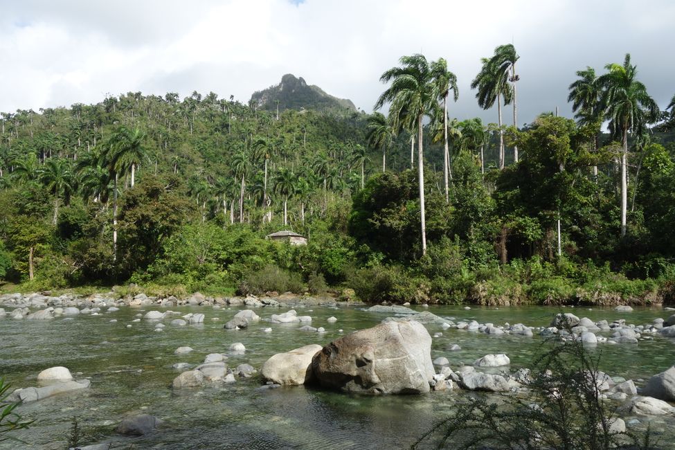 Baden im Youmurí und Besteigung des Yunque