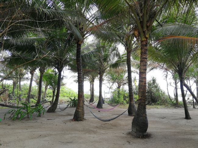 New Year's Eve at the beach of Gubat