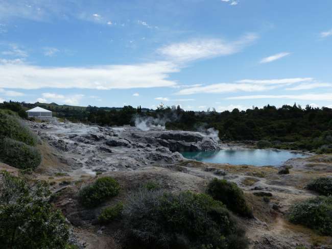 Another view of Pohutu Geyser