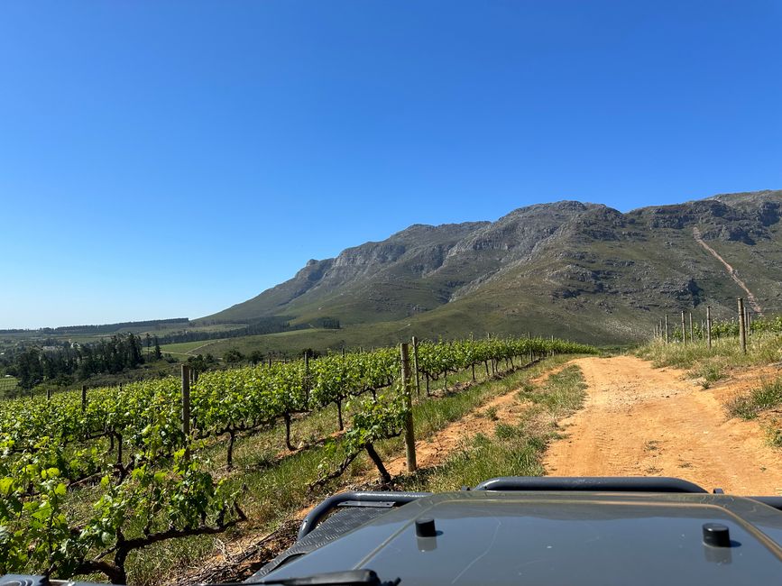Stellenbosch 