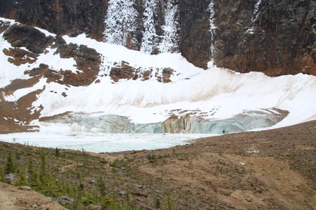 ... und hier der Gletscher unterhalb des Mount Edith Cavell ...