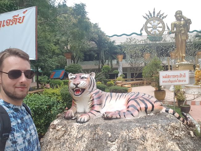 Besuch des Tiger Cave Tempels in Krabi.