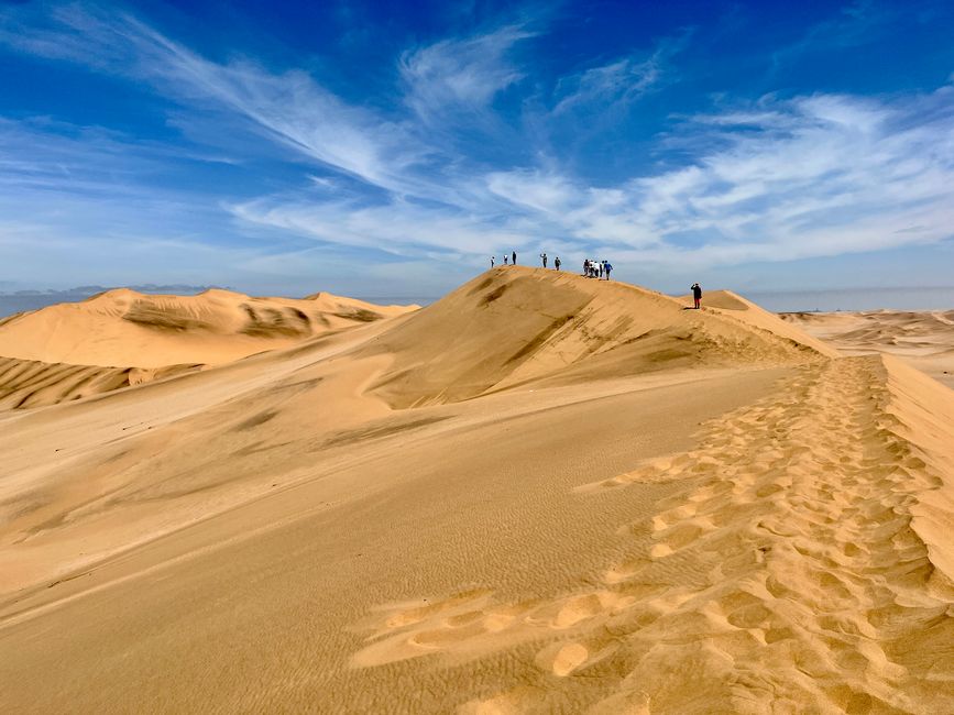 Dune 7 - Dorob National Park