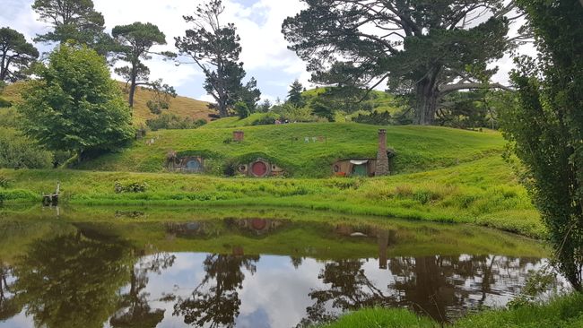 Day 9: Te Aroha - Hobbiton - Rotorua