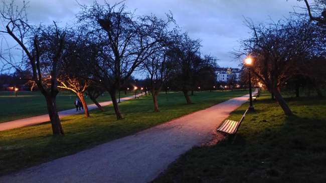The Regent's Park, Primrose Hill