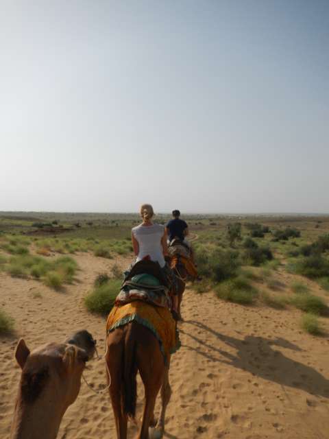 Kamelsafari in Jaisalmer