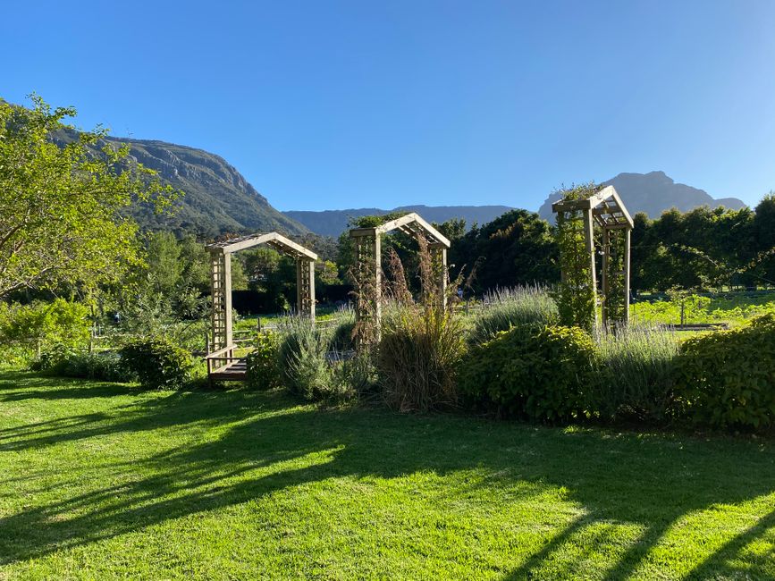 One of the 6 farms of Love in a Bowl in Hout Bay is the 'Bay Farm'. It can be reached with our white bakkie in 5 minutes.