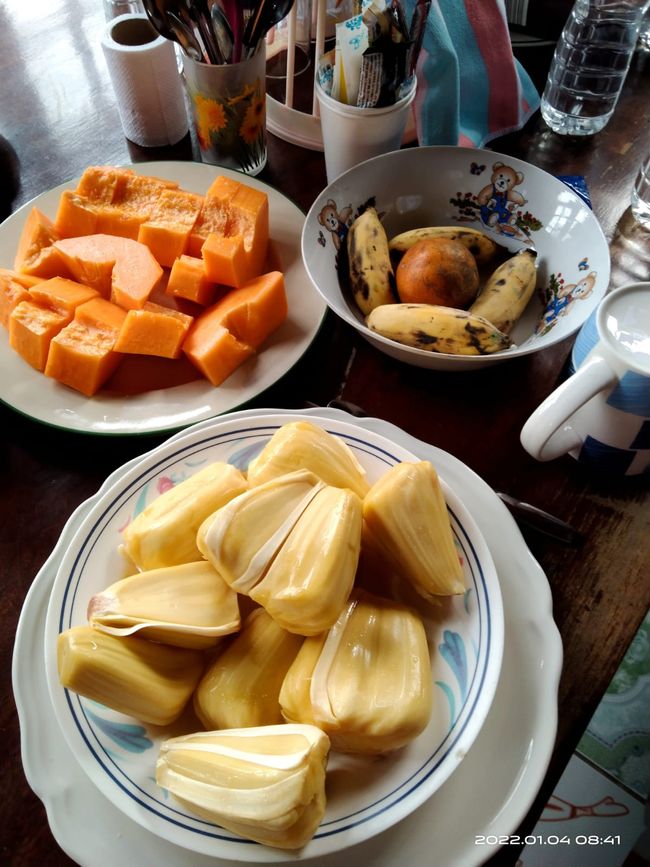 Frische Papaya,Jackfrucht, Bananen und Mandarine 