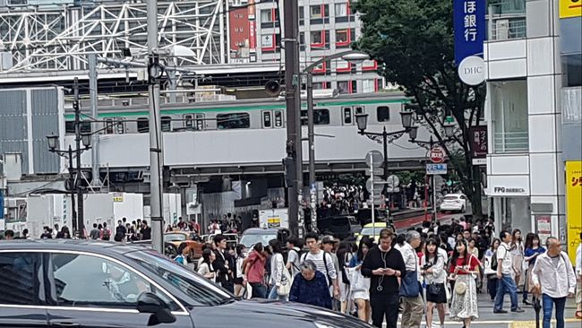 Tokyo crowded? Oh please... 😂