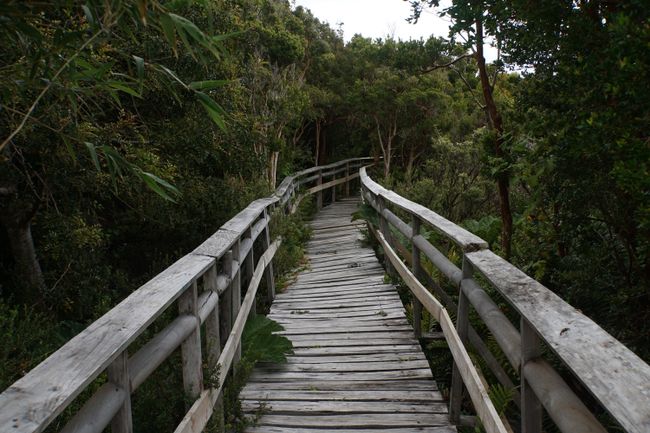 Nationalpark auf Chiloé