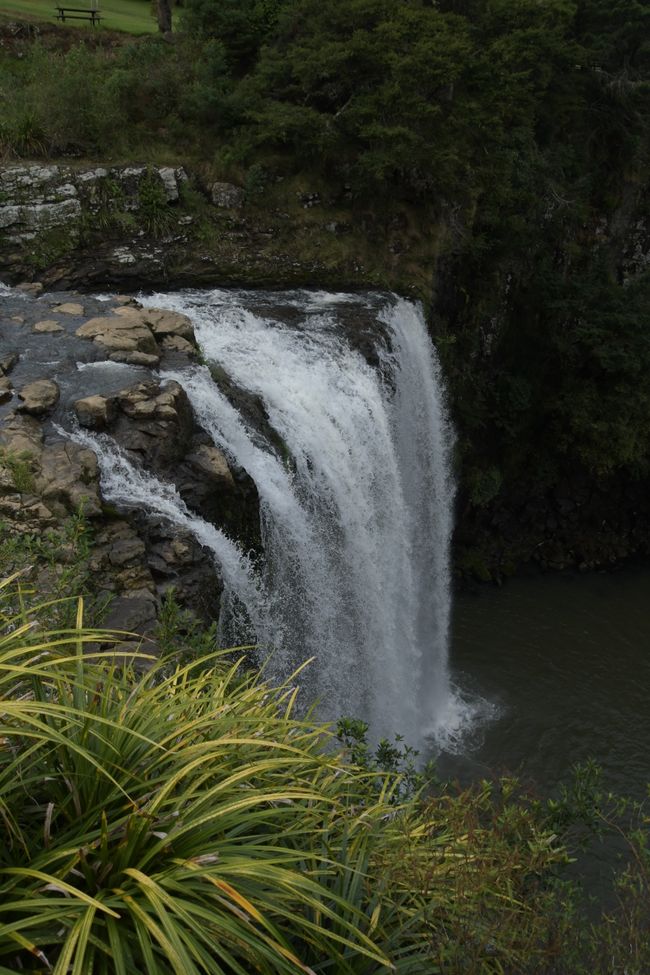 Mittleres Northland - Whangarei Falls