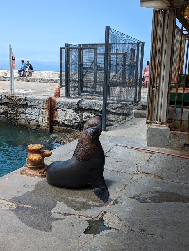 Cape Town