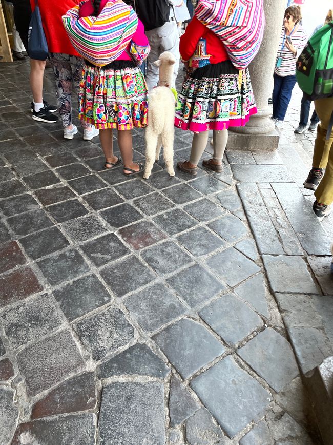 24.-28.08. - Cusco, Peru