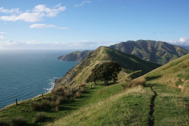 Cable Bay Walkway