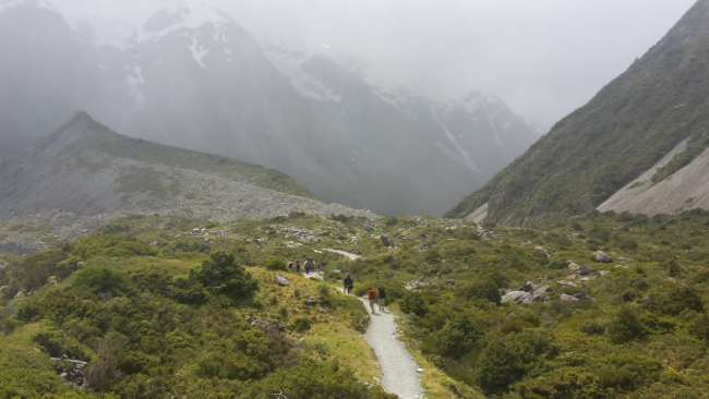 Mt Cook hiking trail