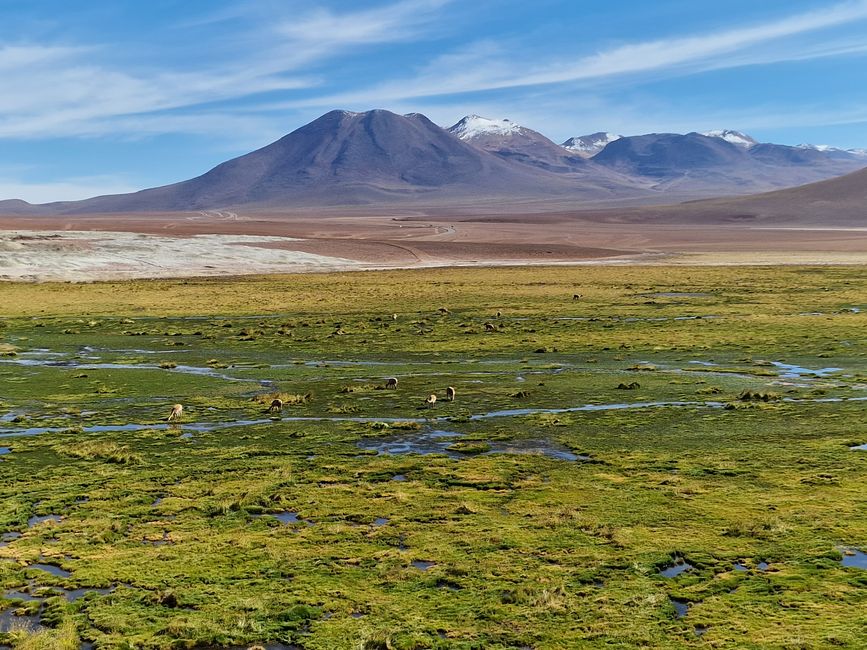 06. März San Pedro de Atacama