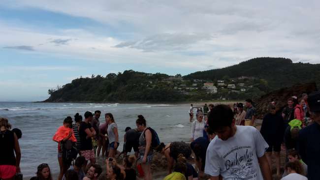 Hot Water Beach - extremely crowded