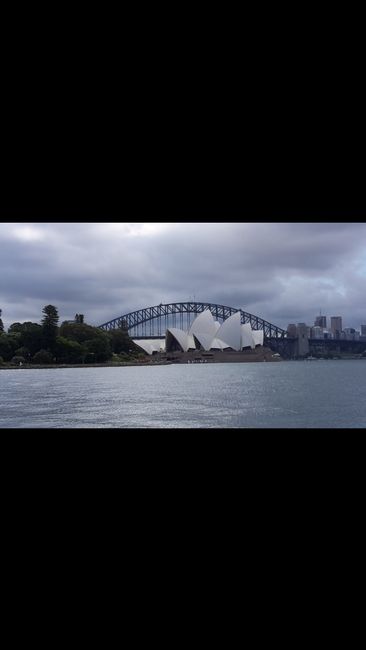 Walk through Sydney and guided tour of the botanical garden