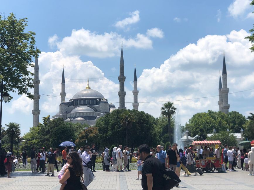 The Blue Mosque - beeindruckend schöne Malerei von Innen - Istanbul 