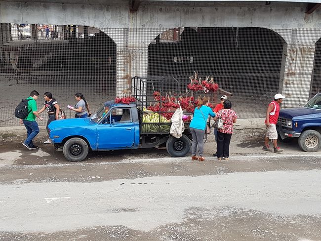 Lychee and banana seller in Boquete