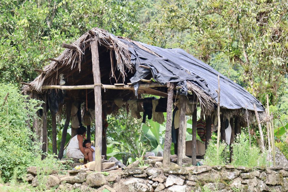 Barrello auf der Suche nach der verlorenen Stadt…
Santa Marta-namenloses Dschungelkaff-Ciudad Perdida-Bogota