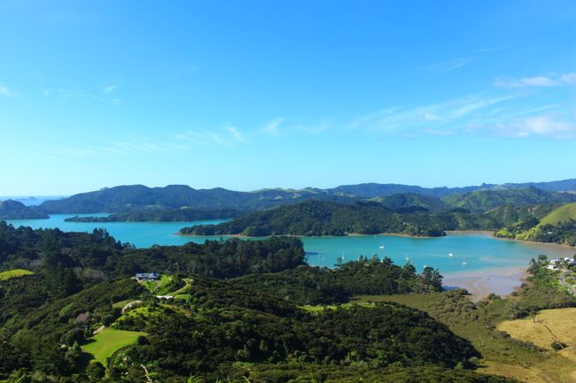 Drive to the Bay of Islands