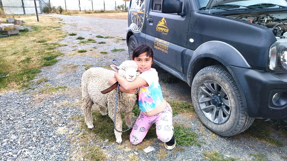 Krishna with sheep Princesa