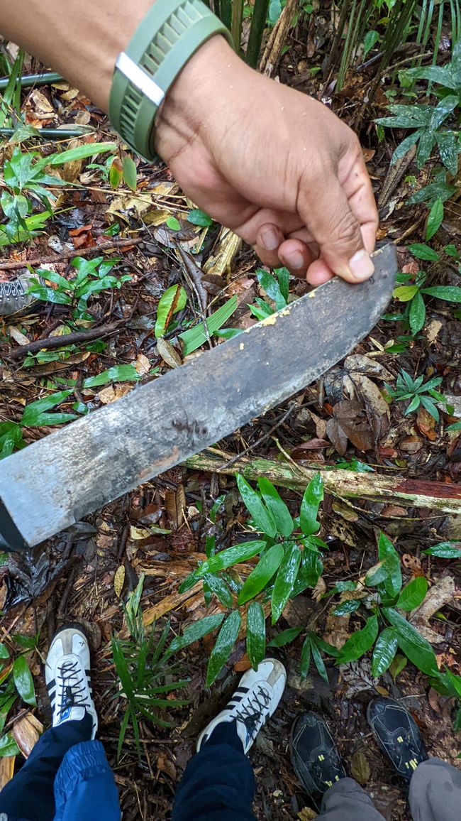 2. Día en la selva amazónica