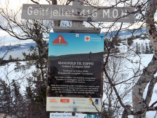 Hiking-Tour! Geitfjellet Gipfel erreicht :)! 416 M.O.H