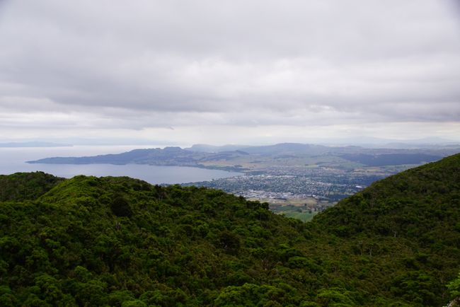 Aussicht auf die Stadt Taupo