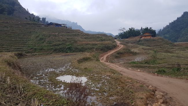 In the even cooler mountains in the village of Sapa.